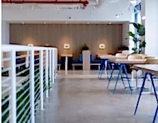 Ofis Halı Temizleme